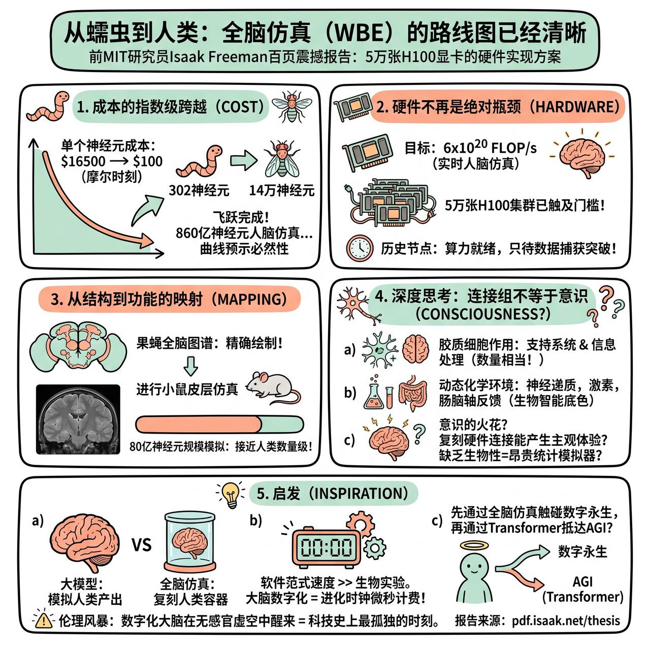 【从蠕虫到人类：全脑仿真（WBE）的路线图已经清晰】

前MIT研究员Isaak