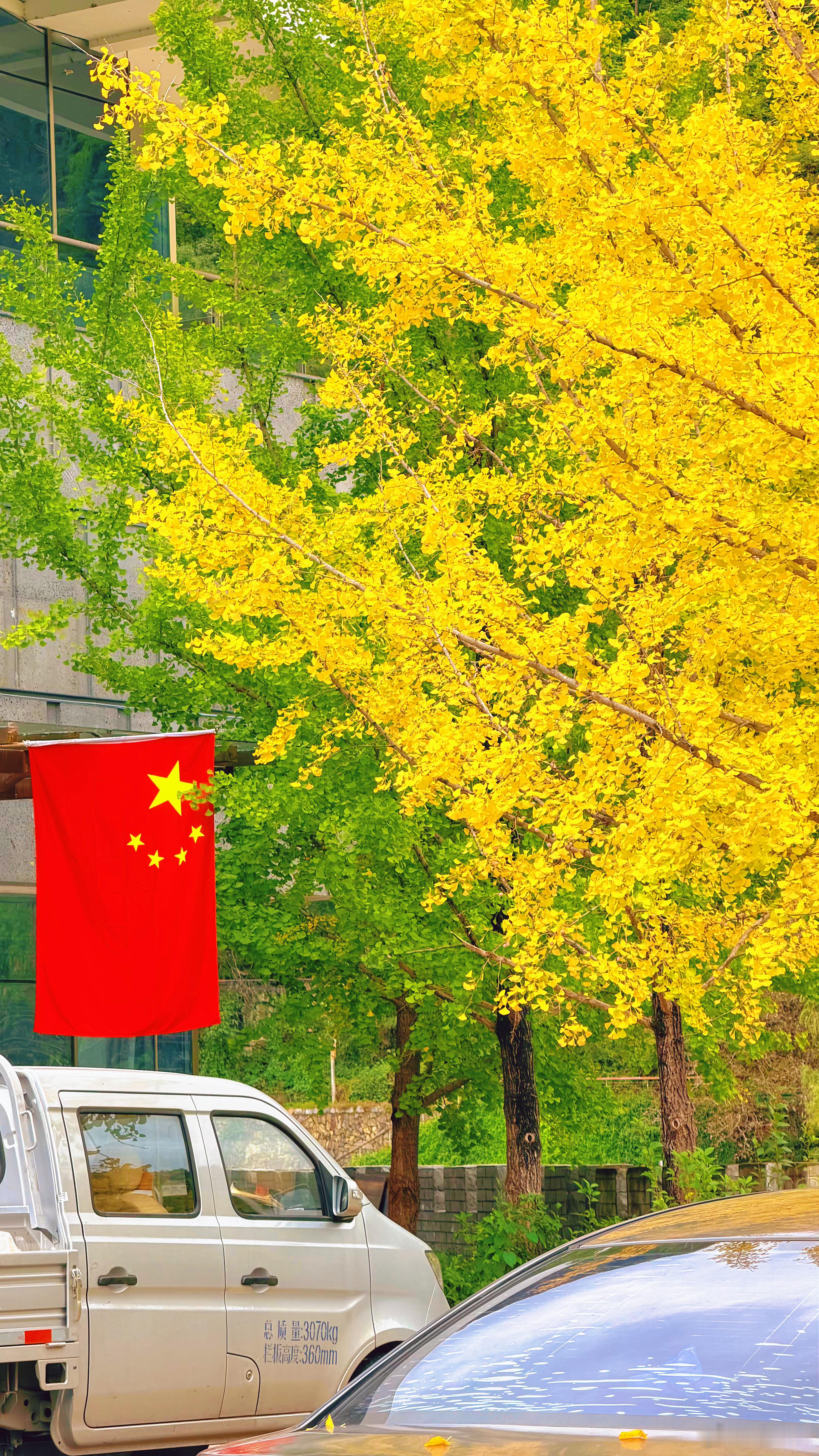 留坝县的秋天原来这么美 沿着244国道一路往留坝县方向走，没有什么人一路上的秋色