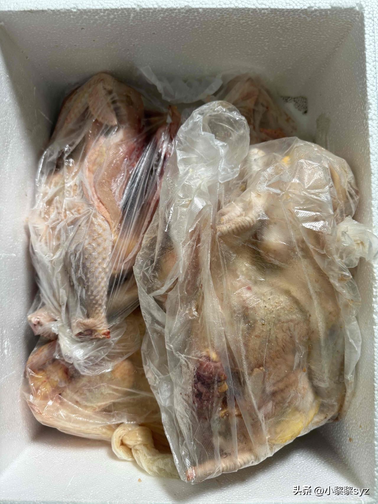换肾快四年，上班三年多
今天是辞职不上班的第二天
今天也是无所事事的一天，啥没干