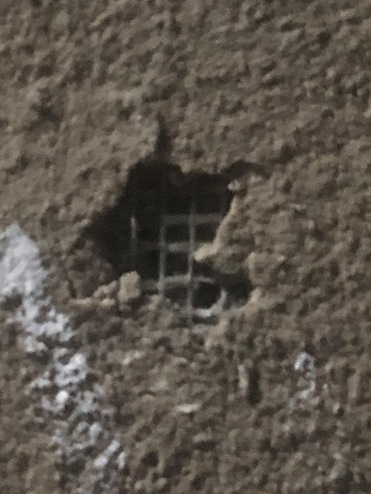中国人把建筑工叫泥瓦匠。千百年来，哪怕今天，从奥运会主场馆鸟巢到普通住宅，依然是