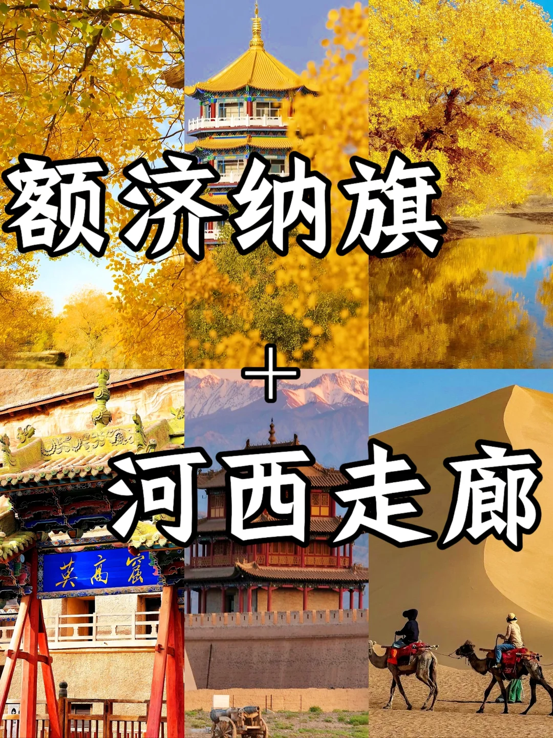 额济纳旗胡杨林+河西走廊，小众又好玩！！