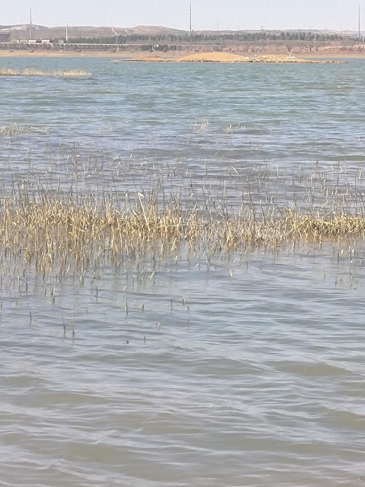 你有没有发现，现在我们觉得活的有点压抑丶有点儿沉重，增加了生活的成本。说这些，绝