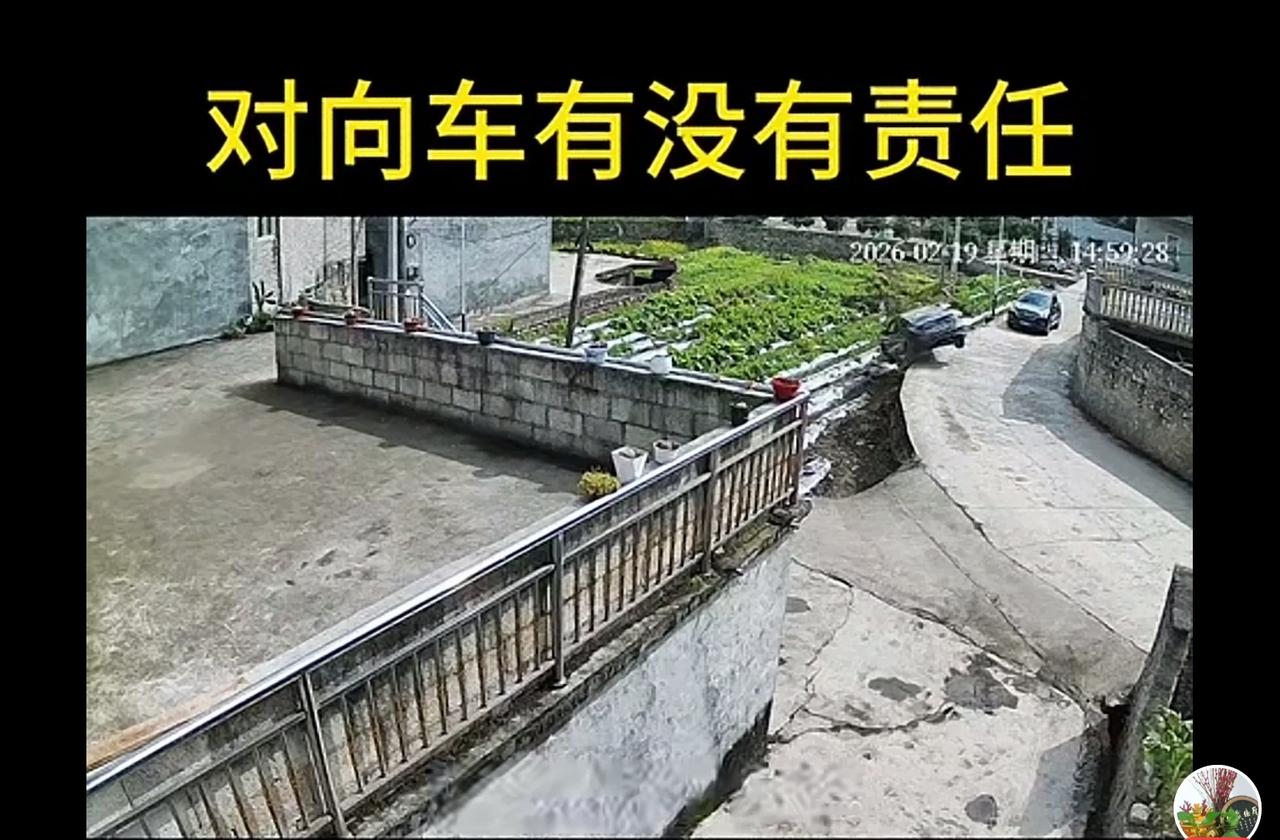 我认为这是网友责任，不看视频，人家车能掉下去吗？这是无接触视频责任。