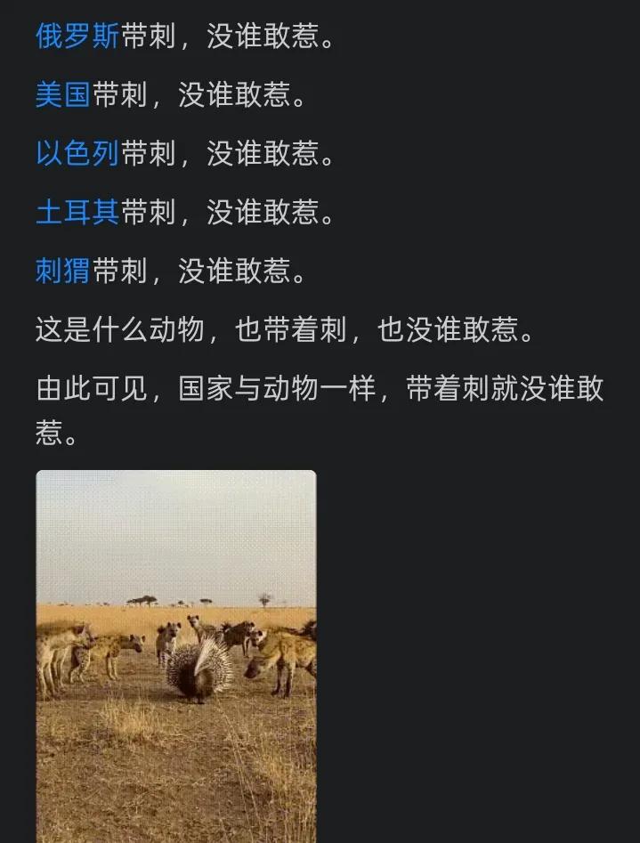 用网友的话点评网友的话：
前苏联带刺分裂了；俄罗斯带刺沦落了；以色列带刺被炸了；