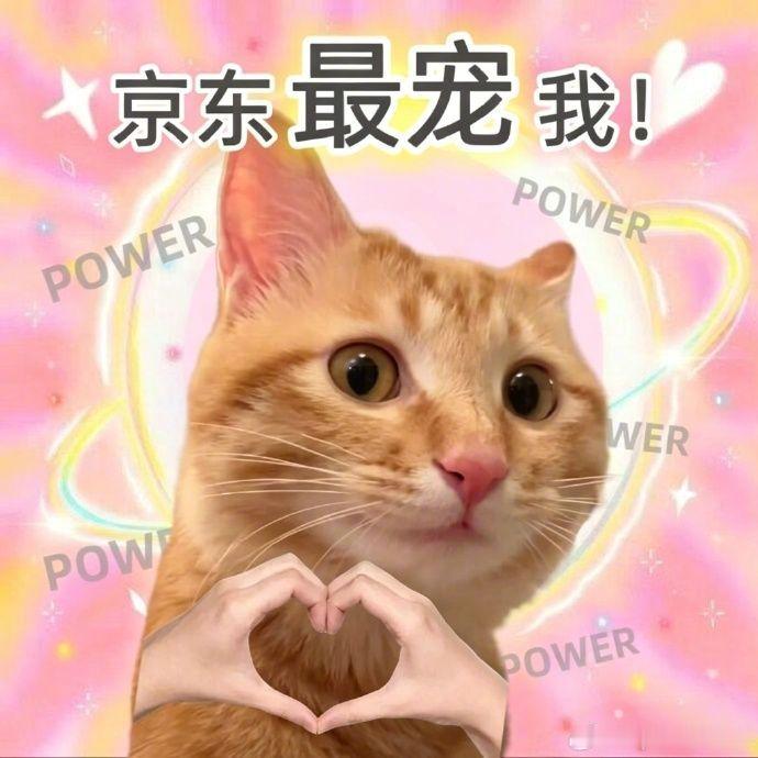 我担在京东给我打钱了每天睁眼第一件事先点开京东蹲我担营业，独立专区也太懂我们了吧