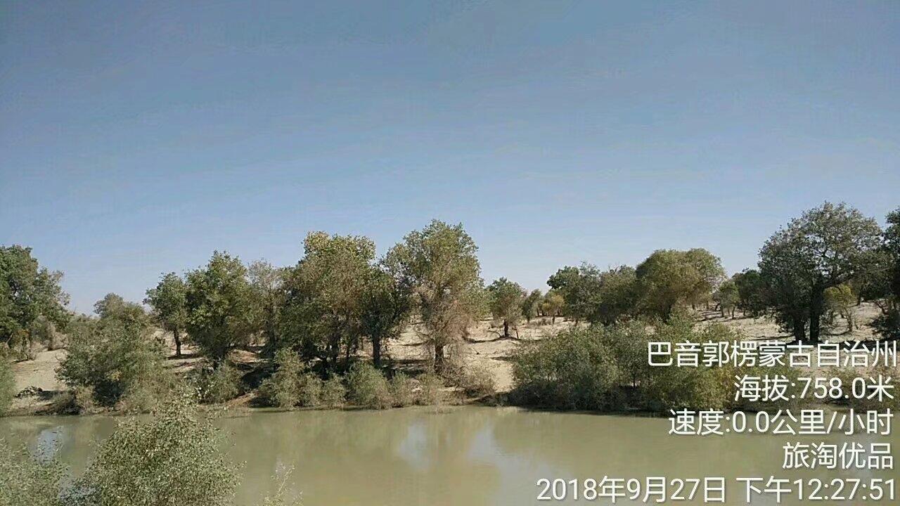 红砖，一看到这个，大家都想说，不就是红砖吗，盖楼，围墙都是这个红砖，可用它铺路，