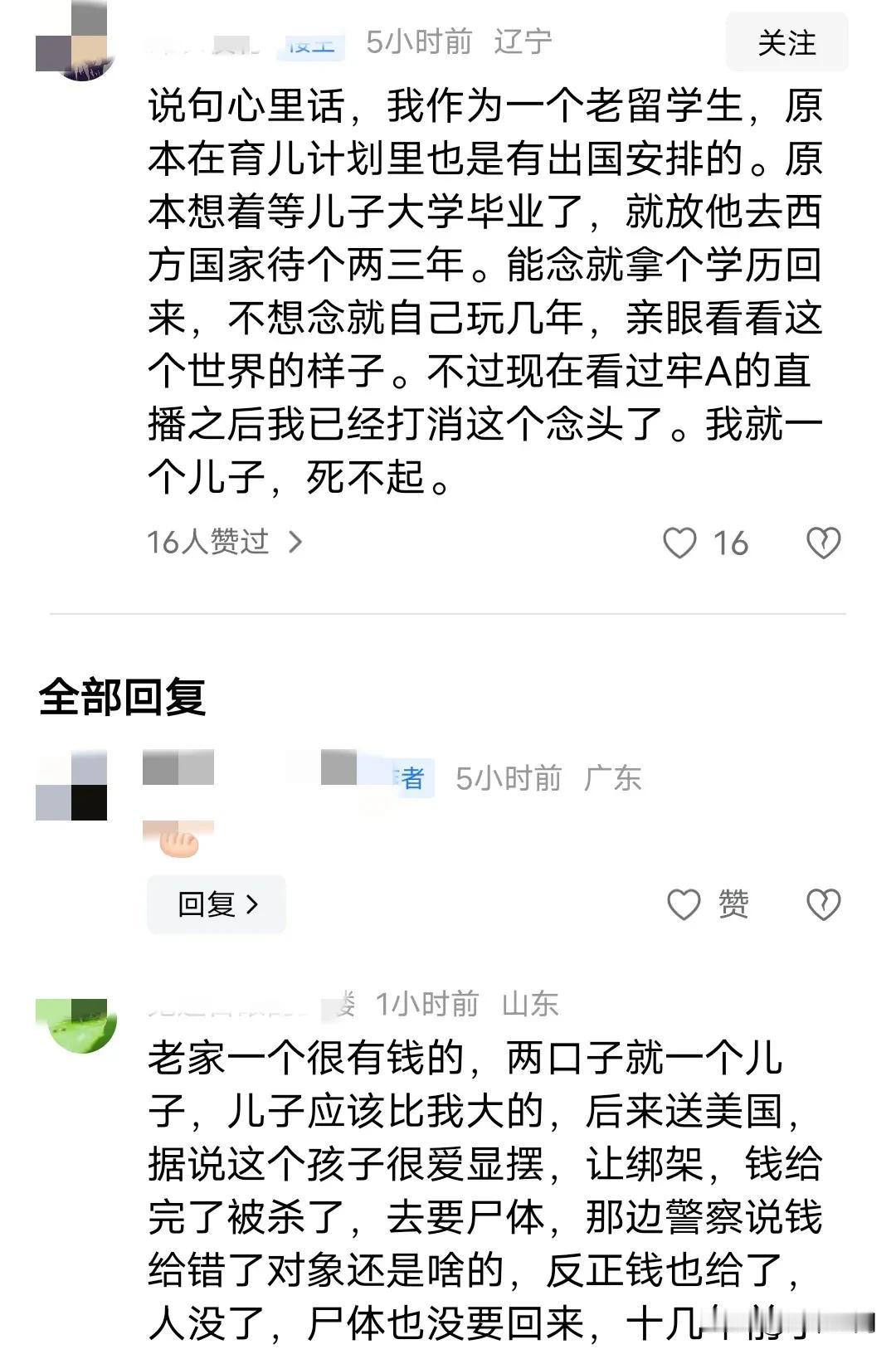 一个东北IP的网友表示自己是一个老留学生，原本在育儿计划里，也是有出国留学的安排