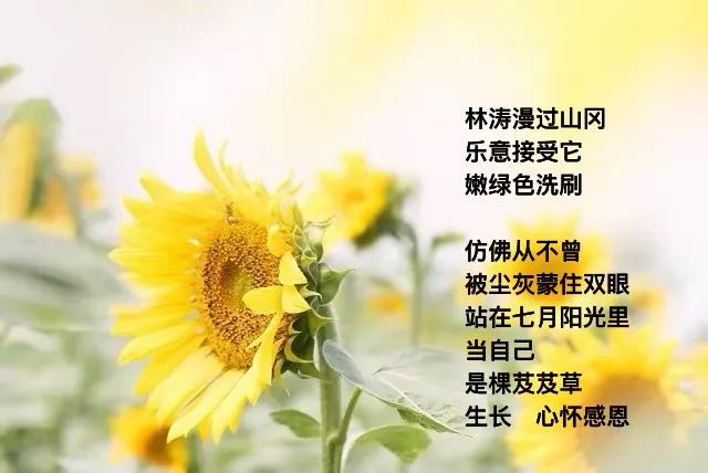 重温草原森林
小花小草
仍是生命至爱
．
在草原 
小河洗涮影子
林间鹿哨
吹散
