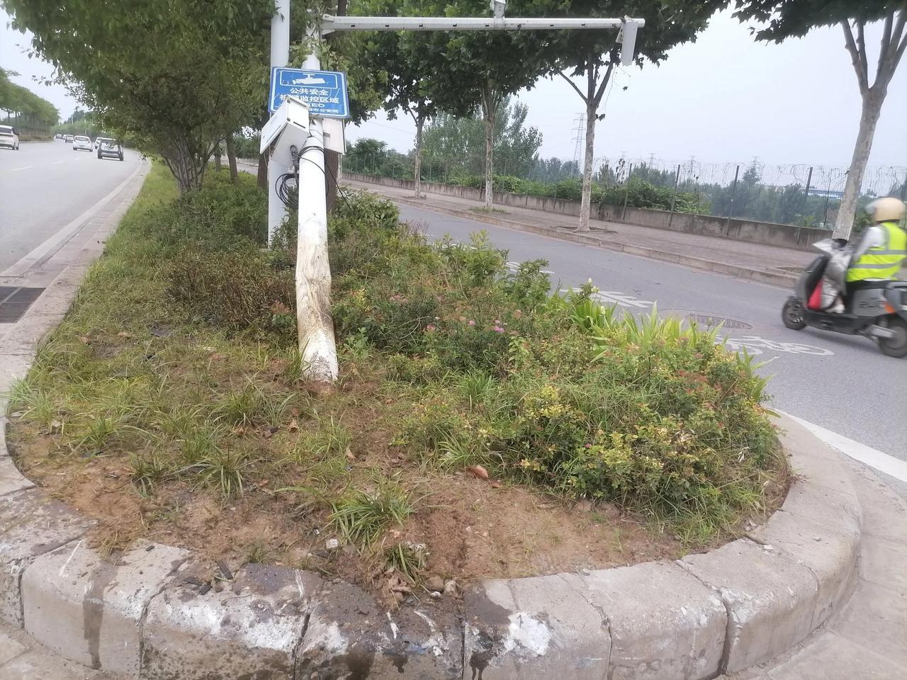 南阳市光武西路（中兴桥西）一花坛中摄像头专用杆被压趴下。可以想象当时的情况……