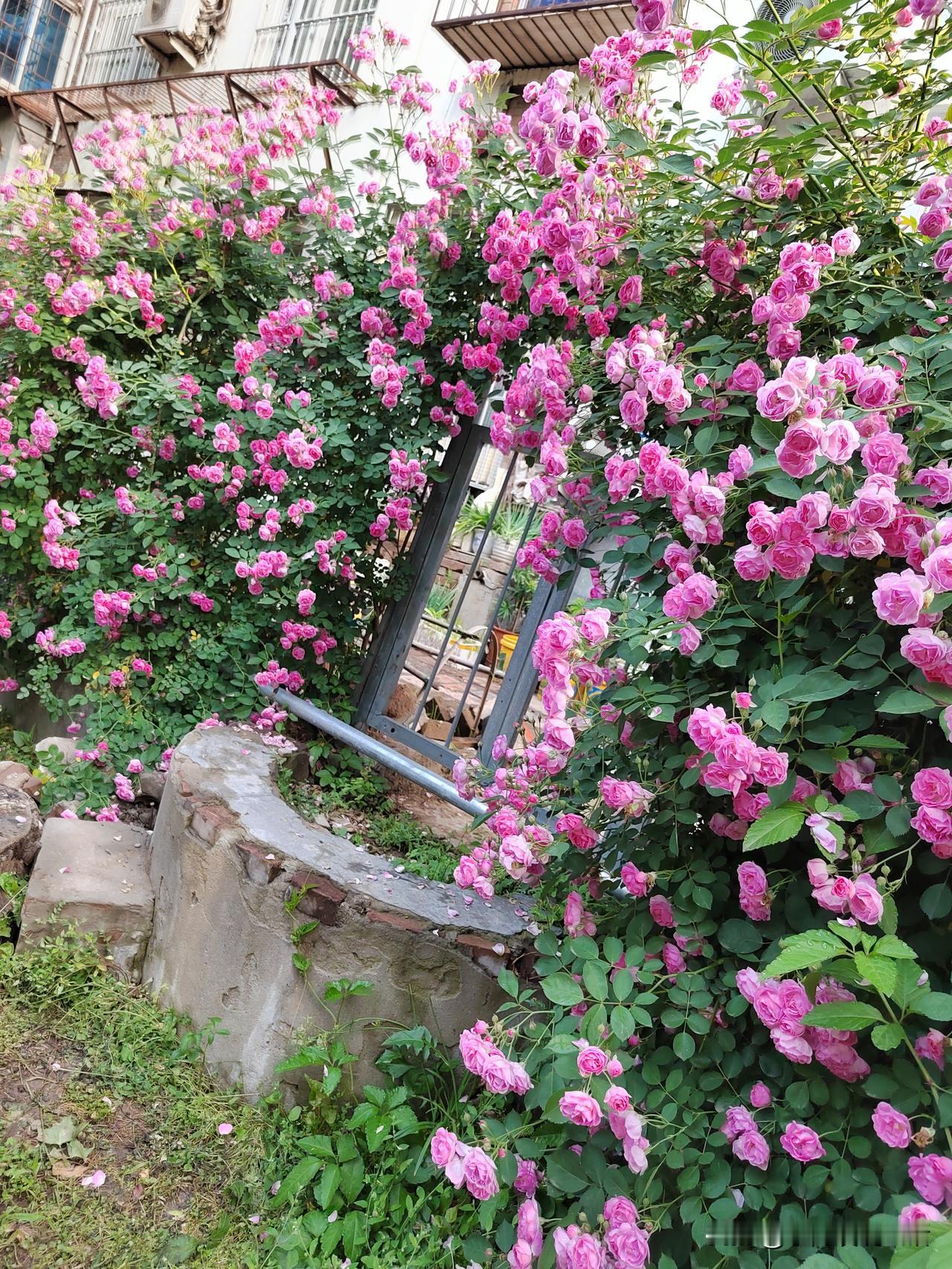 你要跟我比，退休金一个月2600，那是我的天花板！
我这个人，上学的时候不努力，