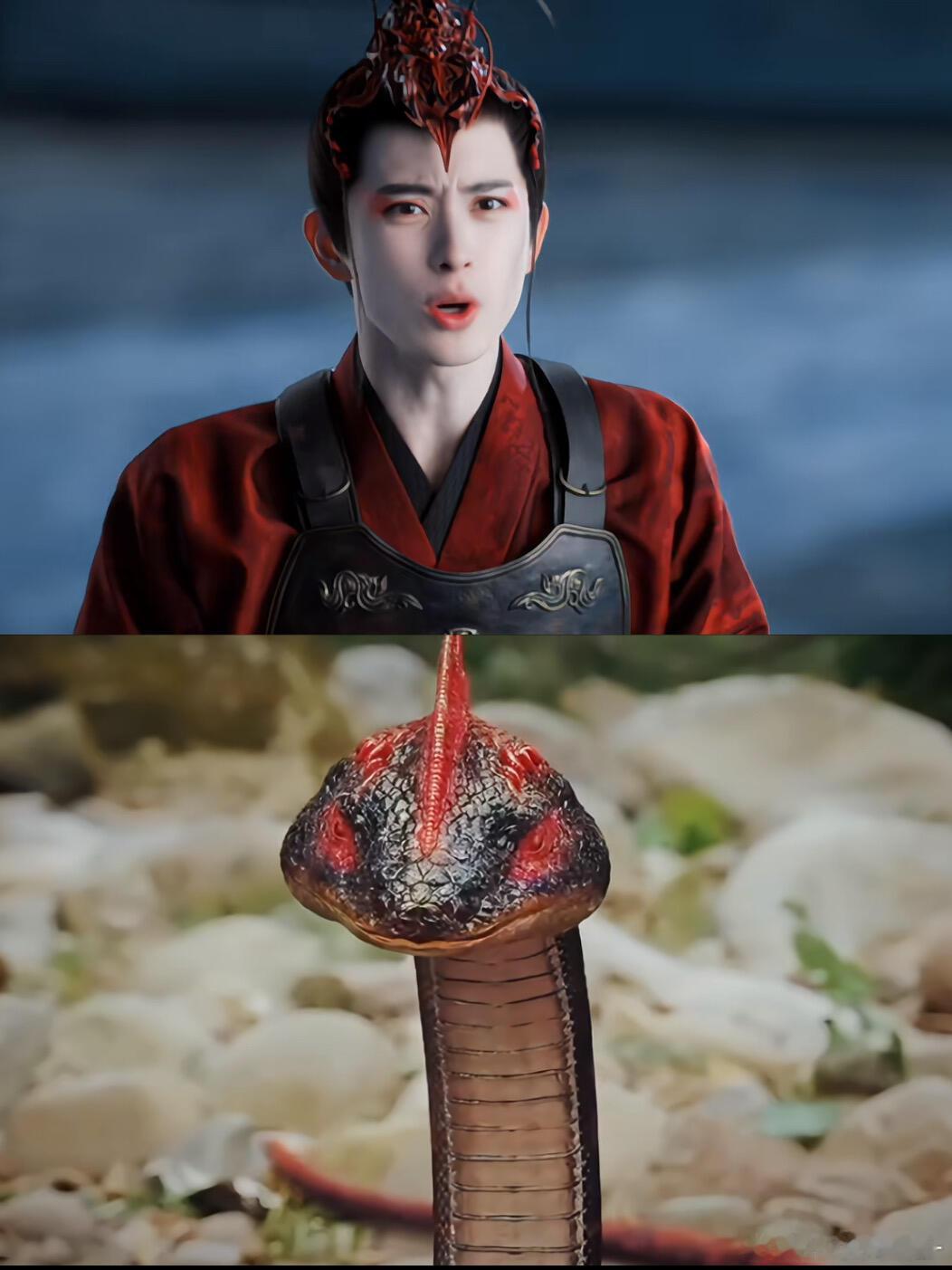 野鸡脖子也是成精了 这是喜剧叭 