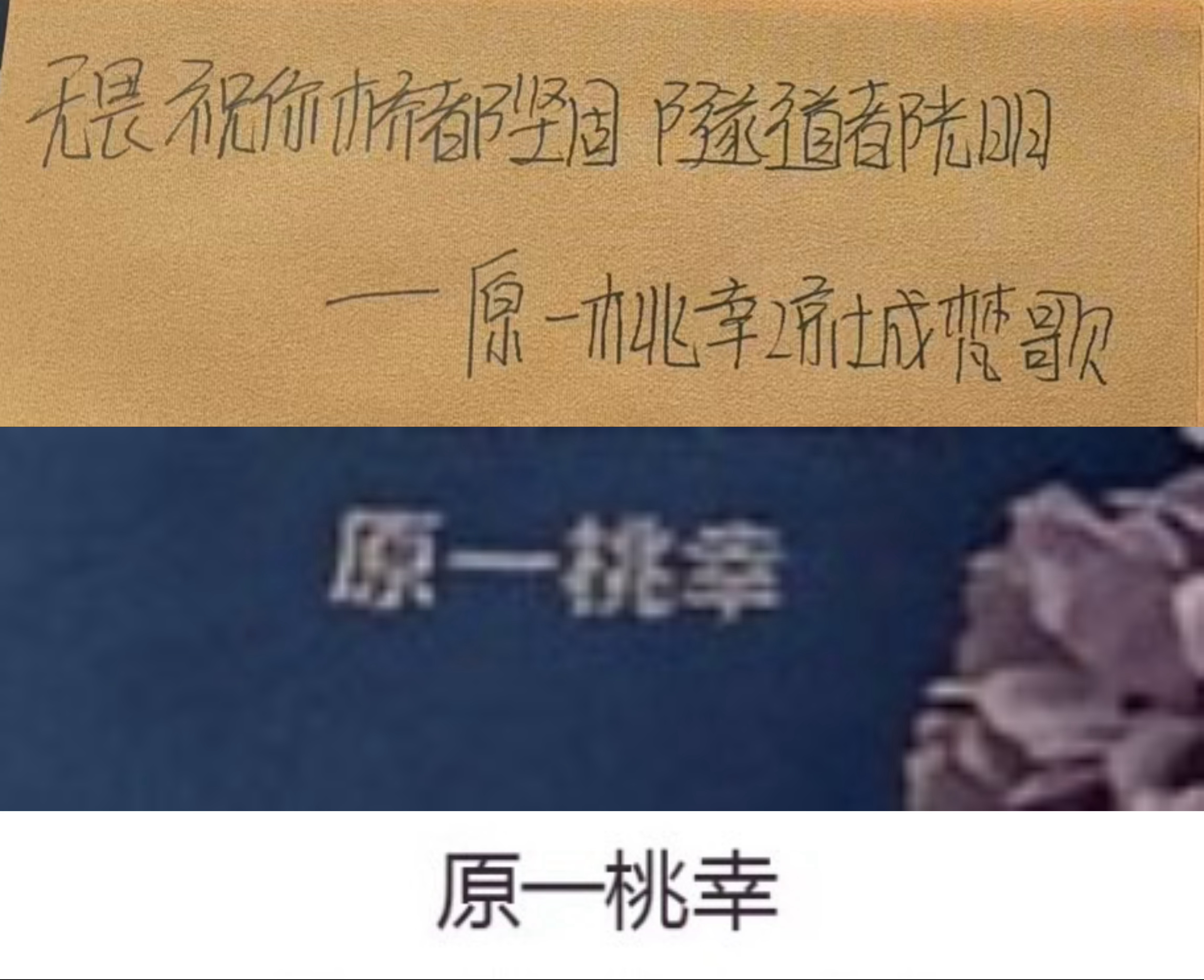 一直陪着小畏 ​​​