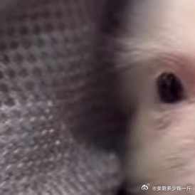 人生不在于活得长与短，而在于顿悟的早与晚；生命不是用来更正别人的对与错，而是用来