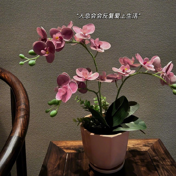 𝐆𝐨𝐨𝐝 𝐥𝐮𝐜𝐤 🧺🌷“乐观积极，是为生活镀上一层最闪耀的