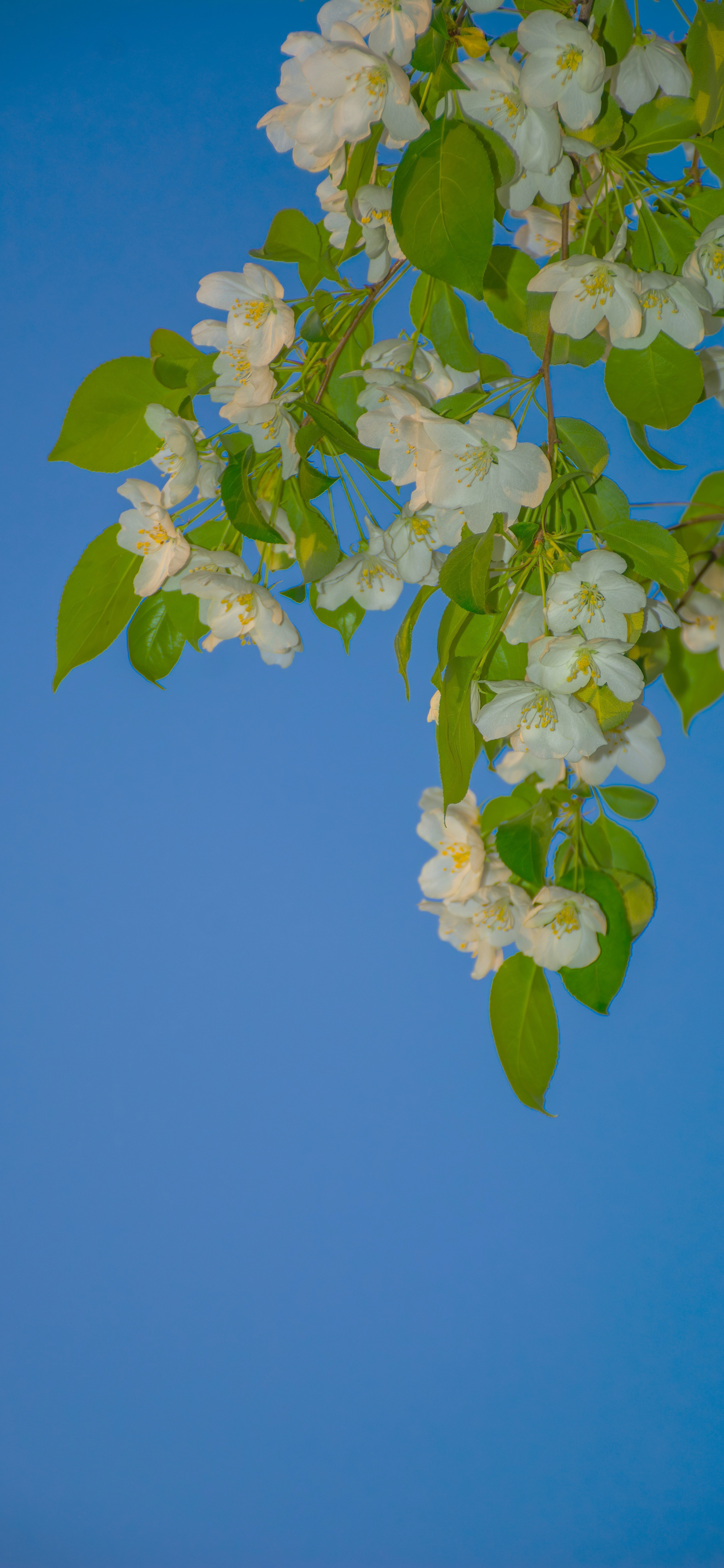 早～都起床了吗？风景壁纸