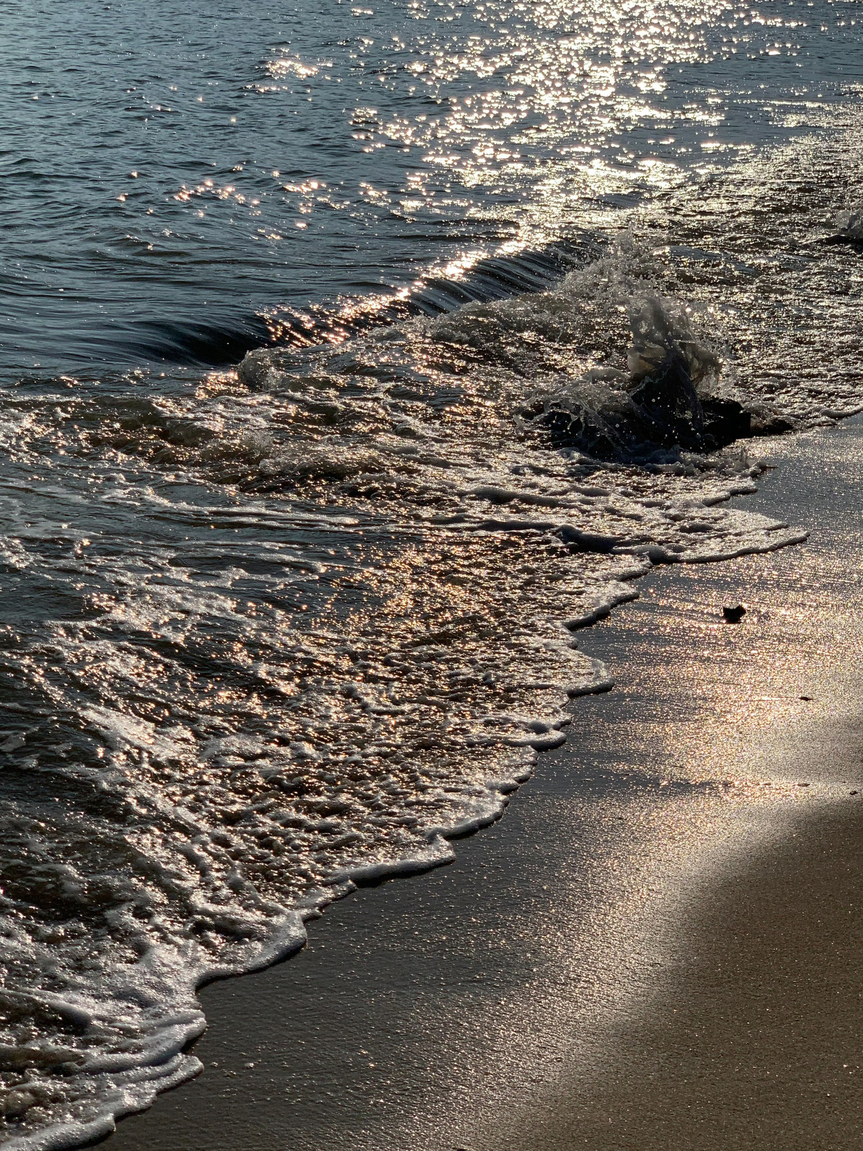 海浪涌着光走✨ 