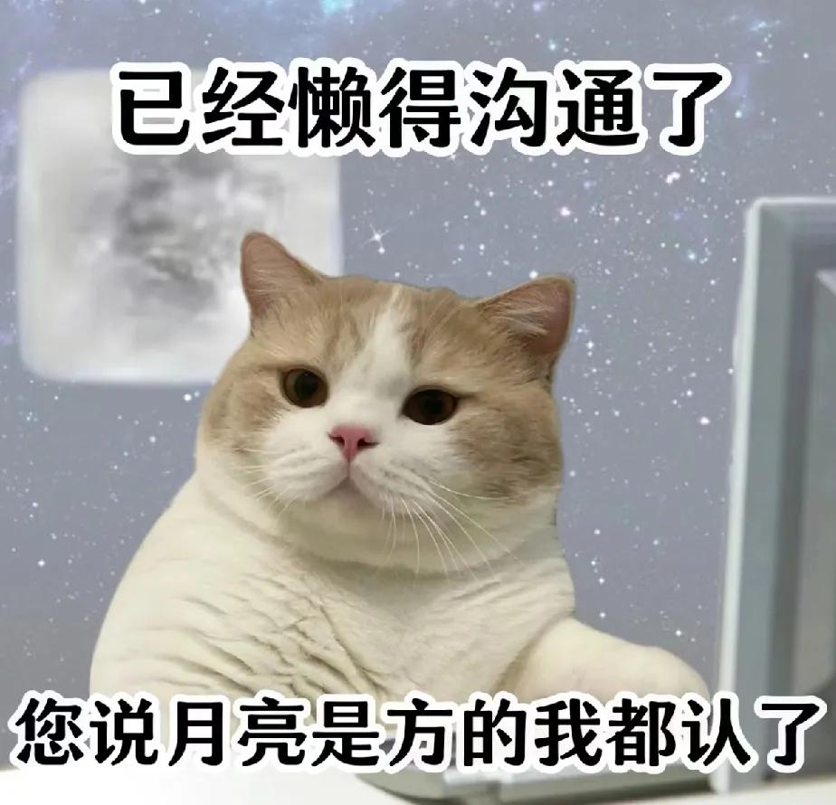 今日你对我爱搭不理，明天我让你高攀不起

昨天去买手机，三家店员的态度截然不同。