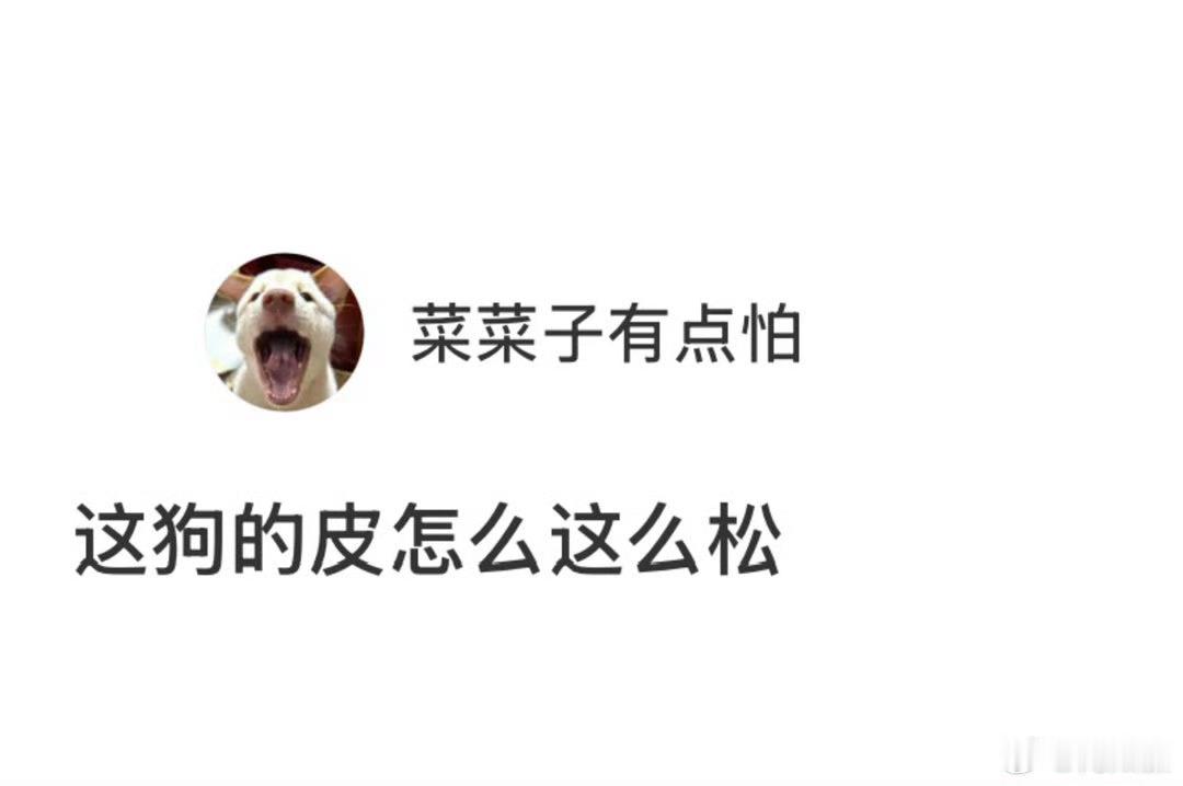 皮松没事可爱就行