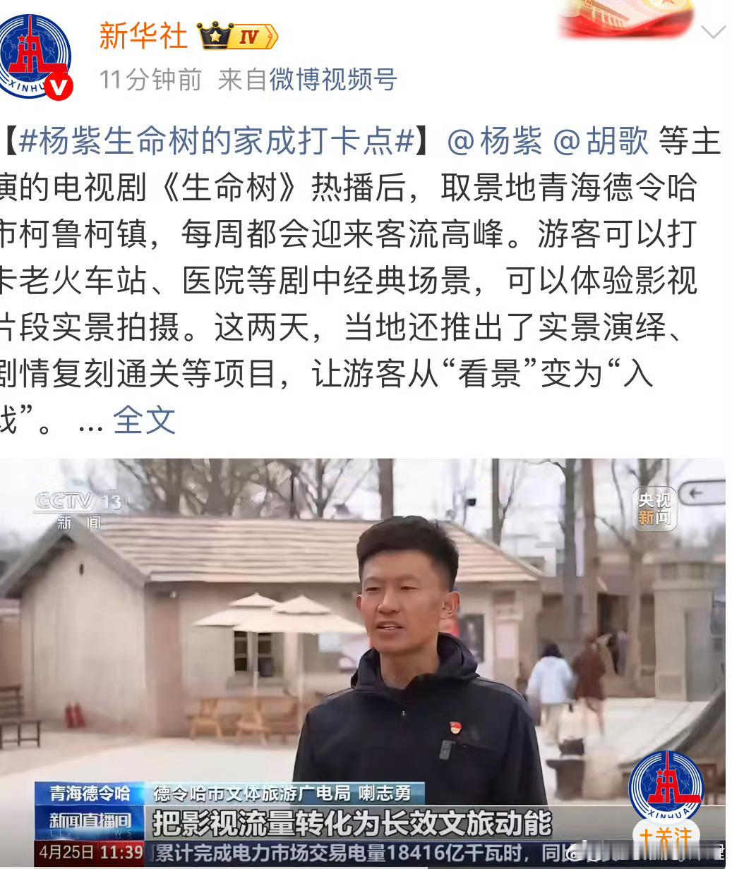 生命树杨紫的家成了打卡点 那怎么办，生命树就是爆火哈哈哈哈哈哈。青海赢麻了。 