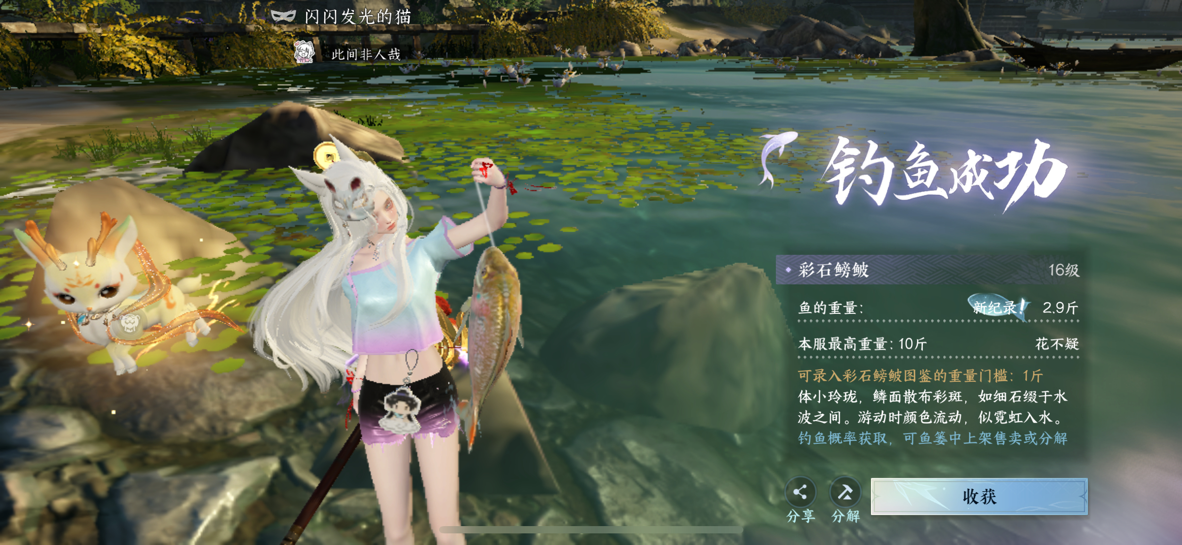 🎣 