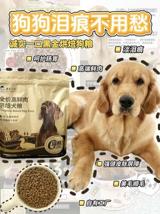 还原美貌的神！诚实一口你怎么这么会…