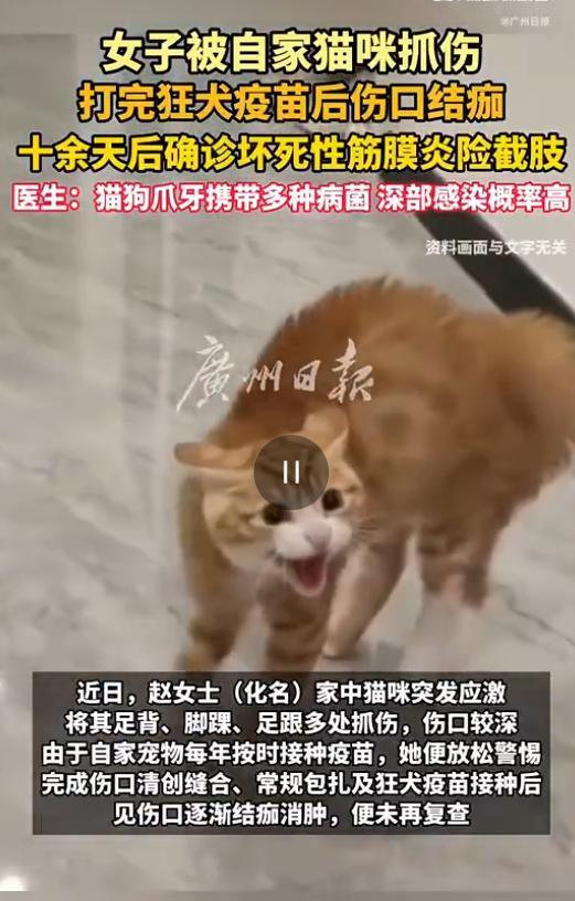 太吓人了！8月7日广州日报报道，陕西西安，一女子被家中应激的猫咪抓伤足背脚踝，出