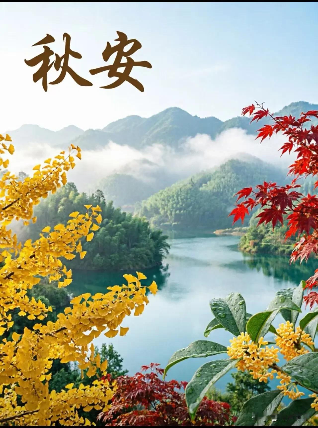《采桑子·初秋寄怀》

蝉声渐歇鸿将渡，
岁序轻酬。
暑意初收，
一任流年婉转流