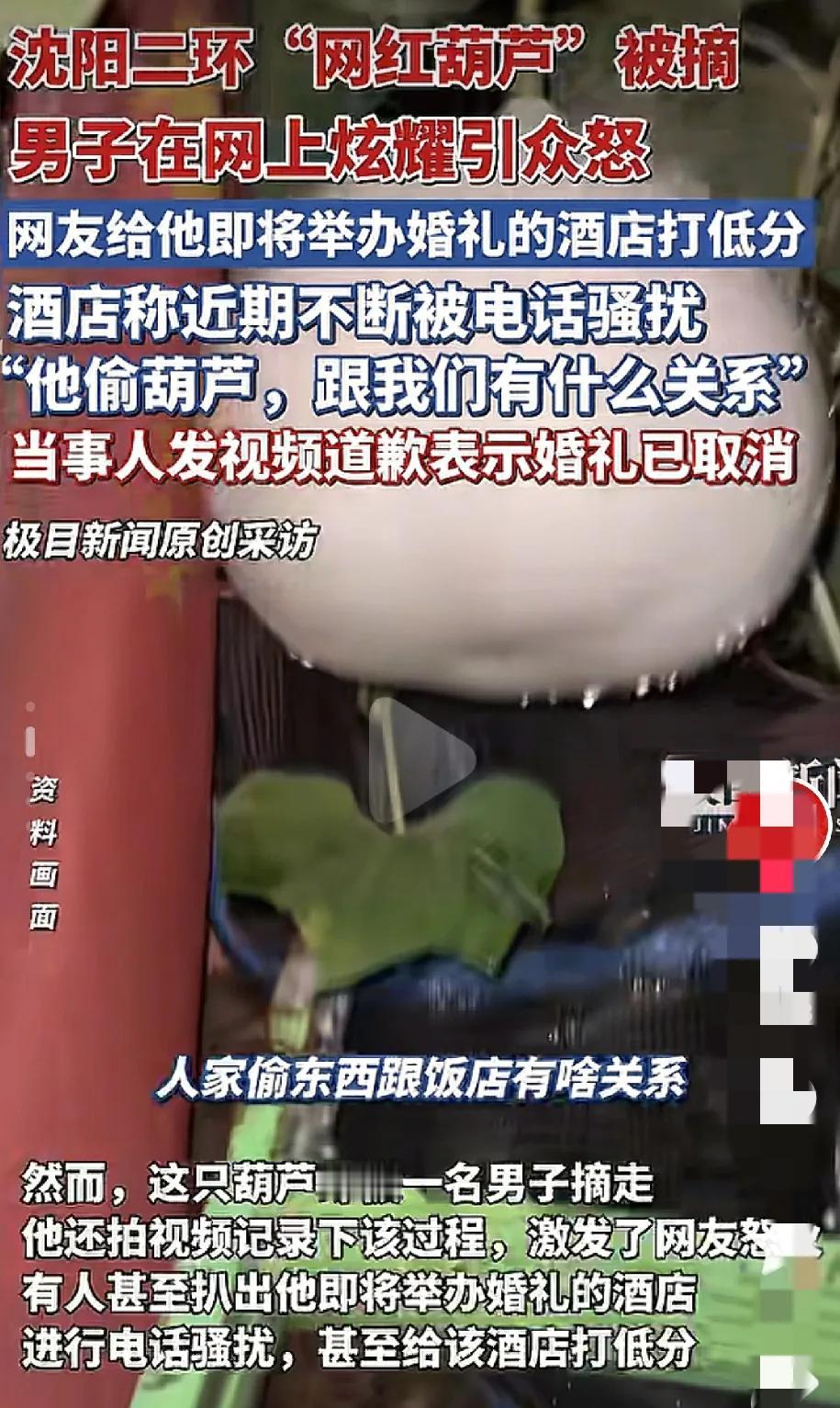 偷葫芦小子自毁前路！


这小子真是把路走绝了
偷葫芦还发上网配表情包，
把违法