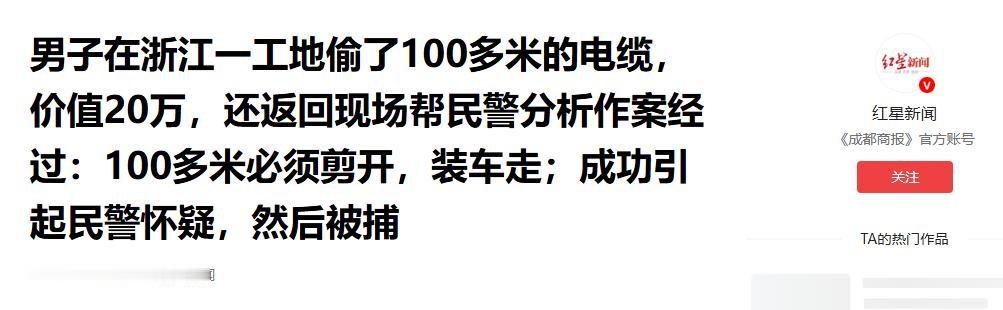 太好笑了！浙江温州工地失窃电缆损失二十多万，嫌犯主动凑上前分析案情，还精准说出切