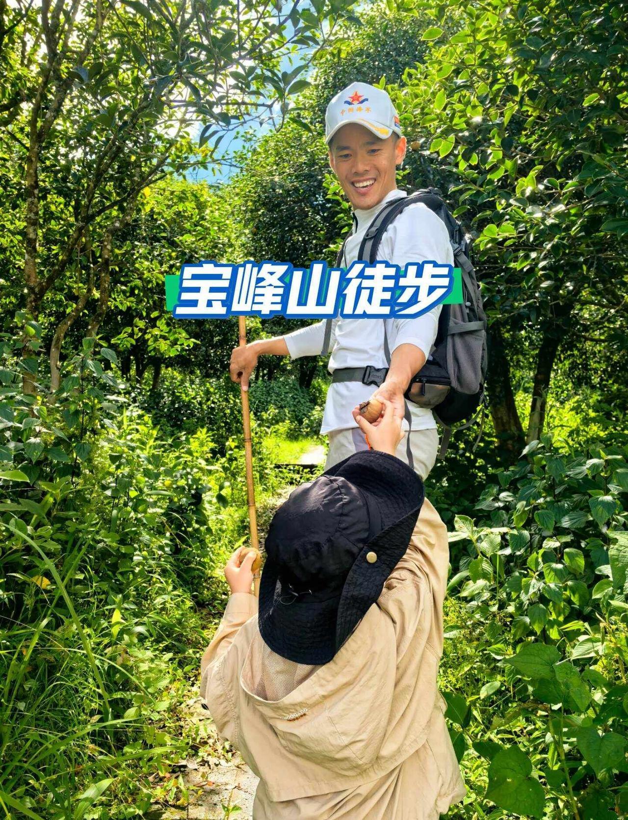 腾冲宝峰山徒步
腾冲宝峰山4㎞徒步
这么好的徒步只要两位数
捡菌子 徒步 腾冲徒