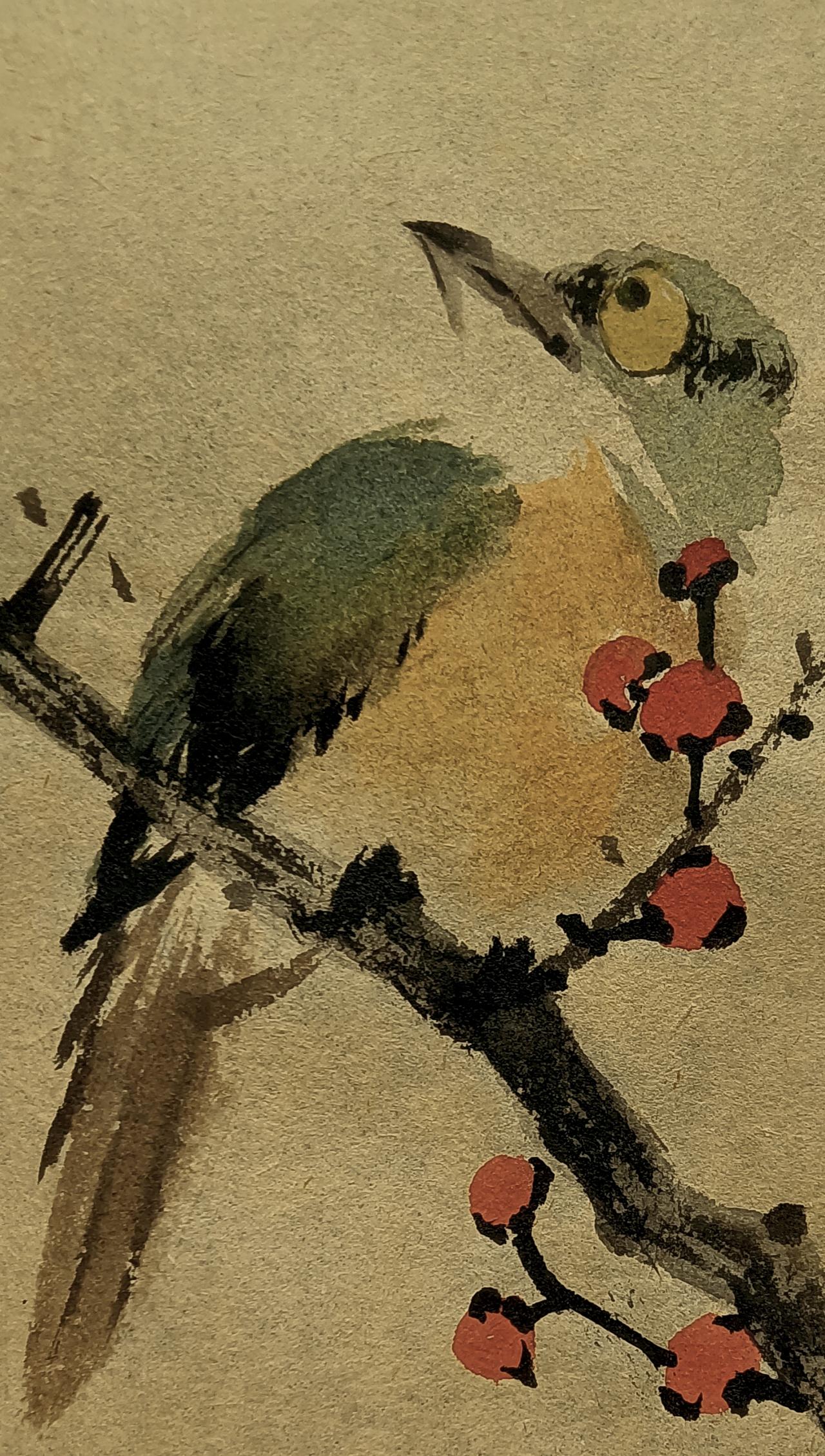 一只小鸟