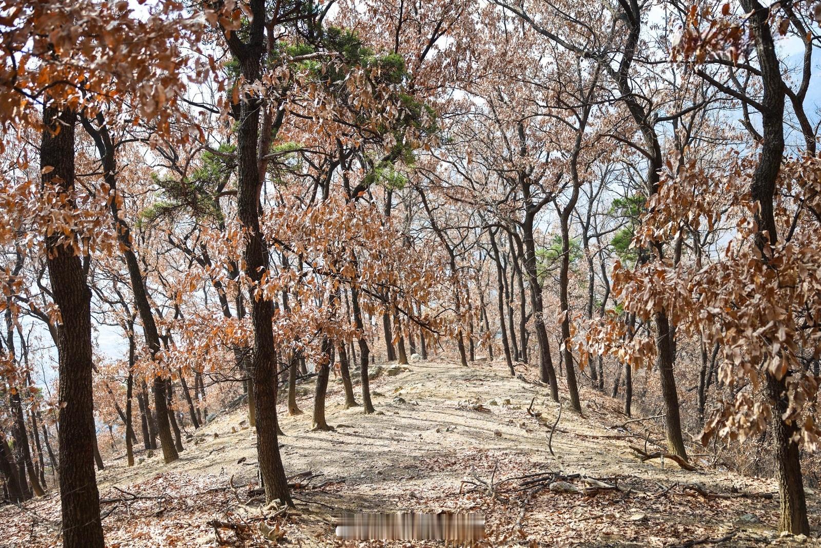 保时捷车主发声以往，经营困难，资金链断裂，一般发生在国产车店。这几年，不少合资车