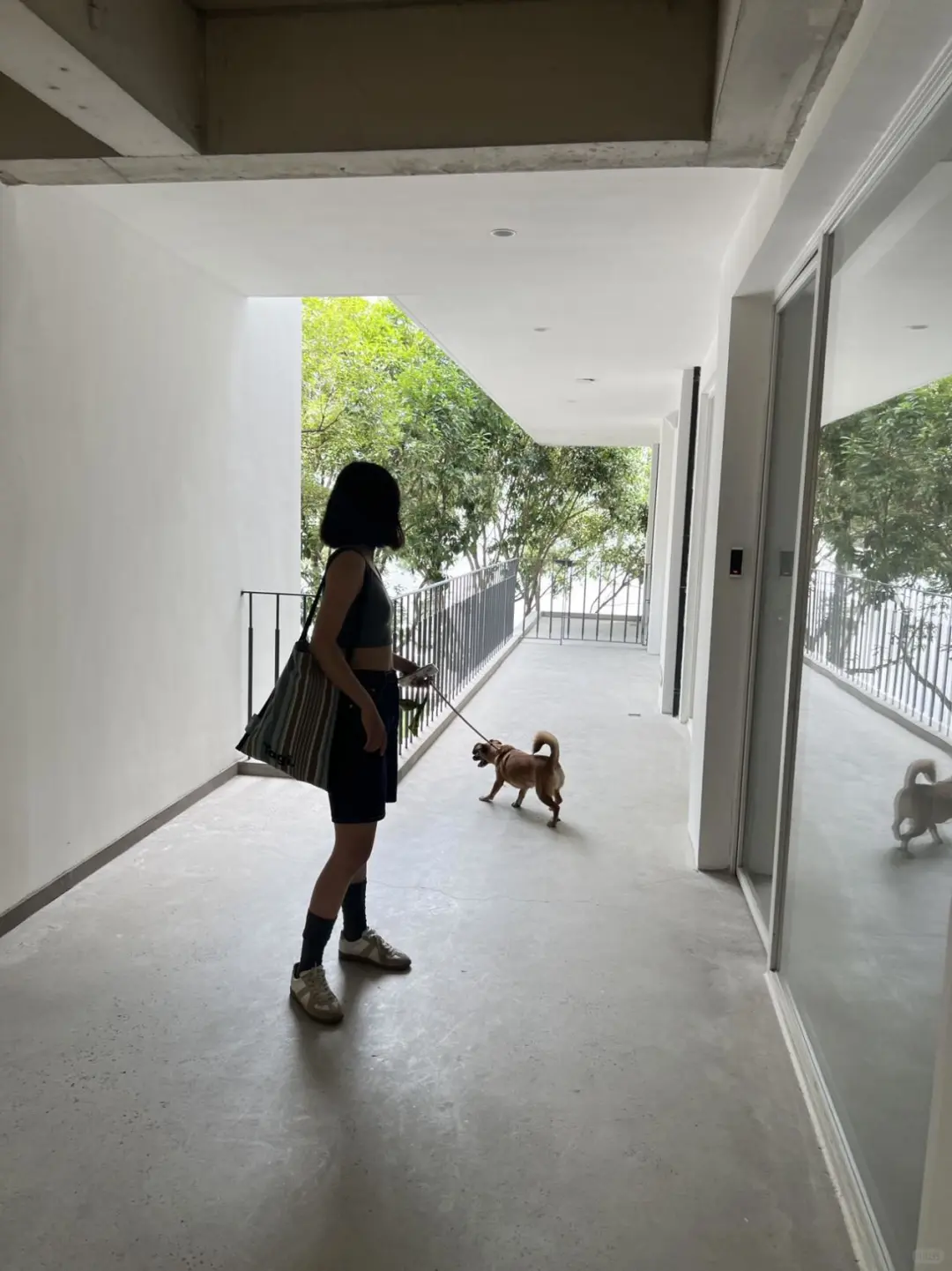 🌳 上海不缺舒服好看的街区！（超出片！