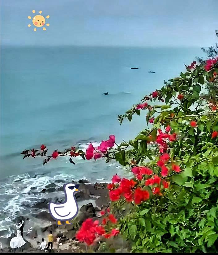 北海这趟，值了！
 
北海的海，跟我想象的还真不一样。不是那种蓝得晃眼的透亮，是