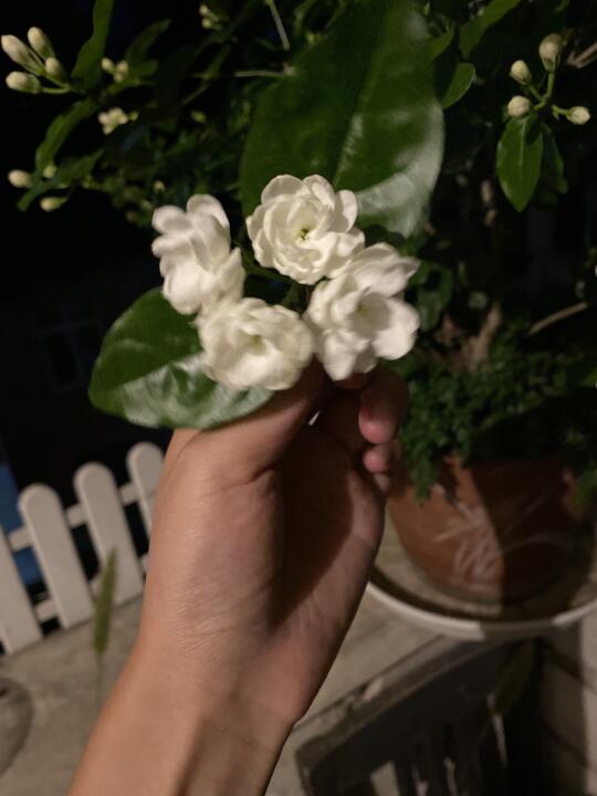 你闻到了吗？