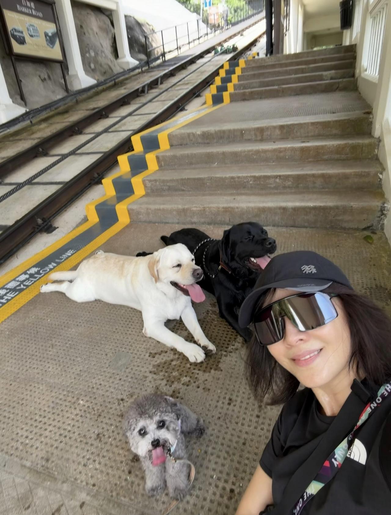 8月16日，刘嘉玲晒生活照，她带着三只狗狗爬山散步的画面。

刘嘉玲与狗狗在台阶