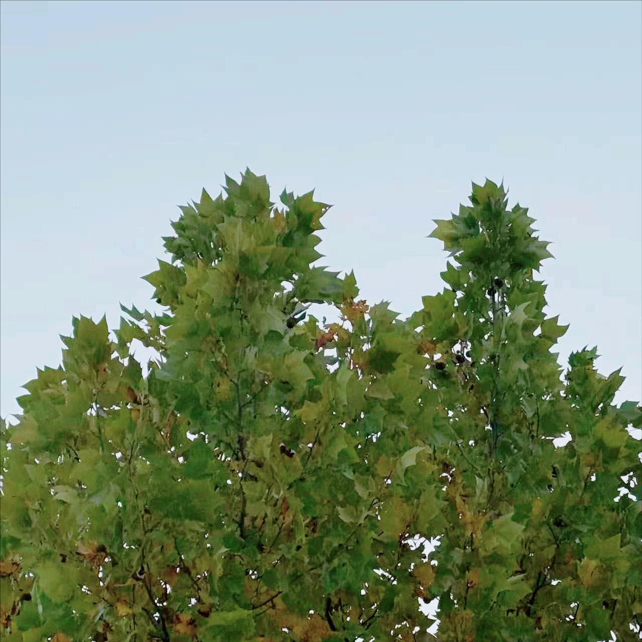 今天上午   河南：执纪审查1人
 
4月13日上午，该省执纪审查1人，为原官员