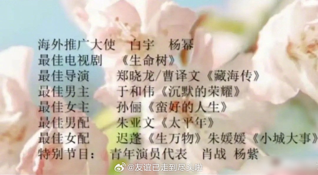 据说是获奖名单，现在海外推广大使对上了海外推广大使：白宇 杨幂最佳电视剧：《生命