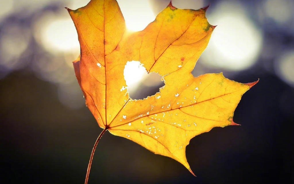 永夜星河在这个世界上，心真的很奇妙，它可以大到极致，也可以小到极致。心量大的人，