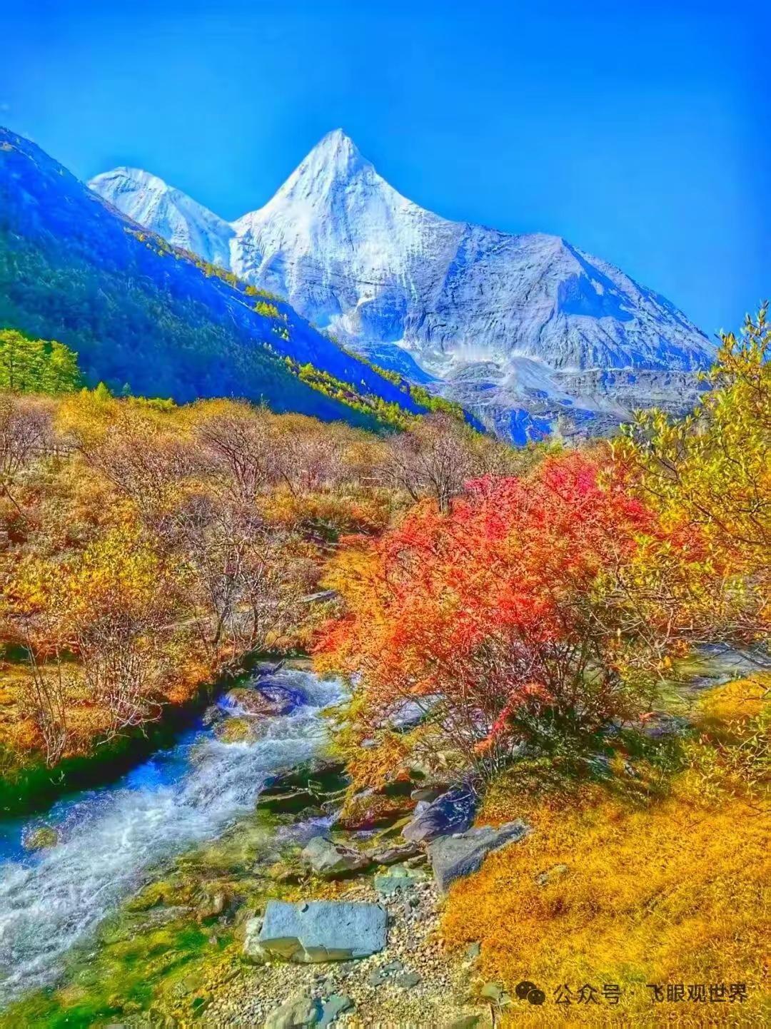 发现了吗
一个男人最好的勋章
不是财富，不是地位，也不是口才
而是刻在心底的担当