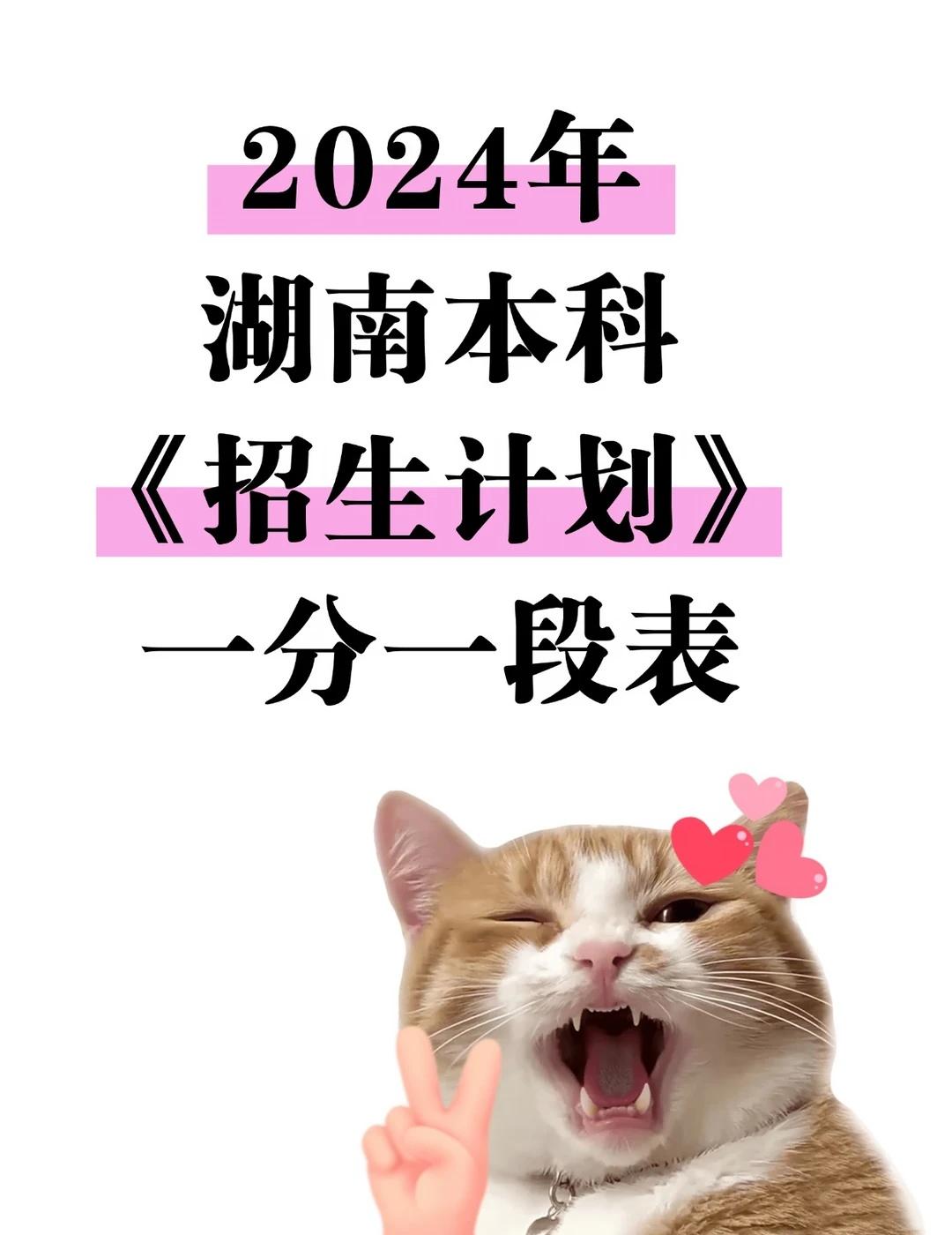 2025湖南高考投档线Excel表本科专
2025年湖南高考投档线电子表格Exc
