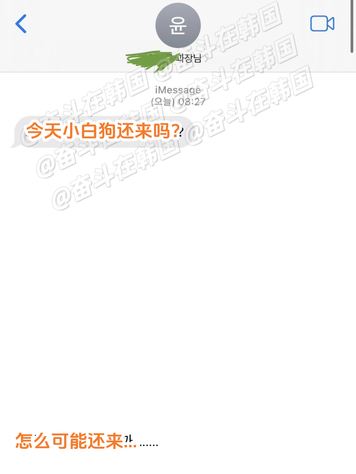 当把小狗带去公司上班 海外新鲜事 热点现场