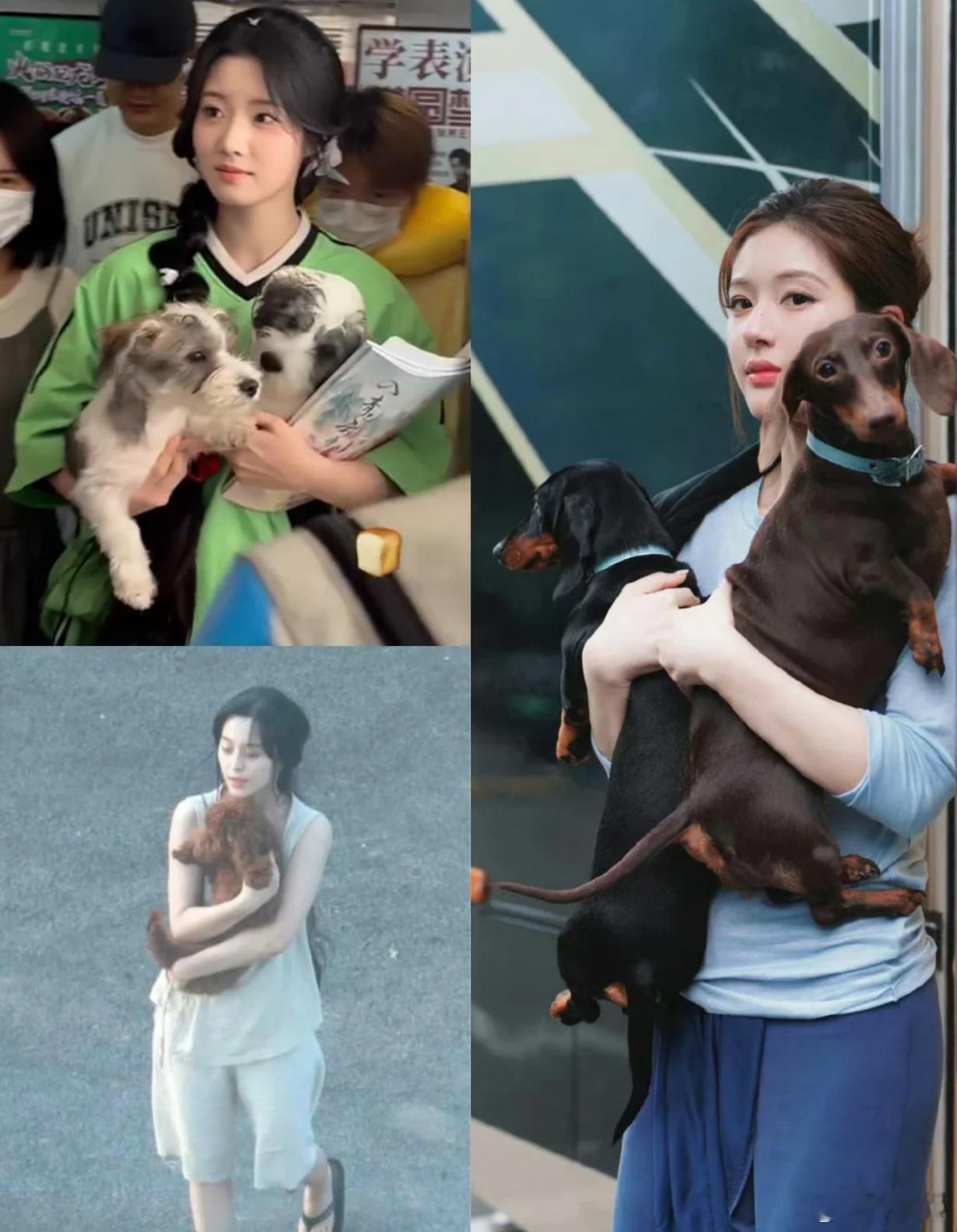 怎么女明星带个狗上班也能被审判啊，总比男明星带嫂子进组强吧[思考]#赵露思##卢
