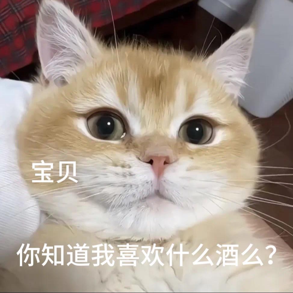 猫咪土味情话表情包。创作灵感 表情包 发给对象表情包