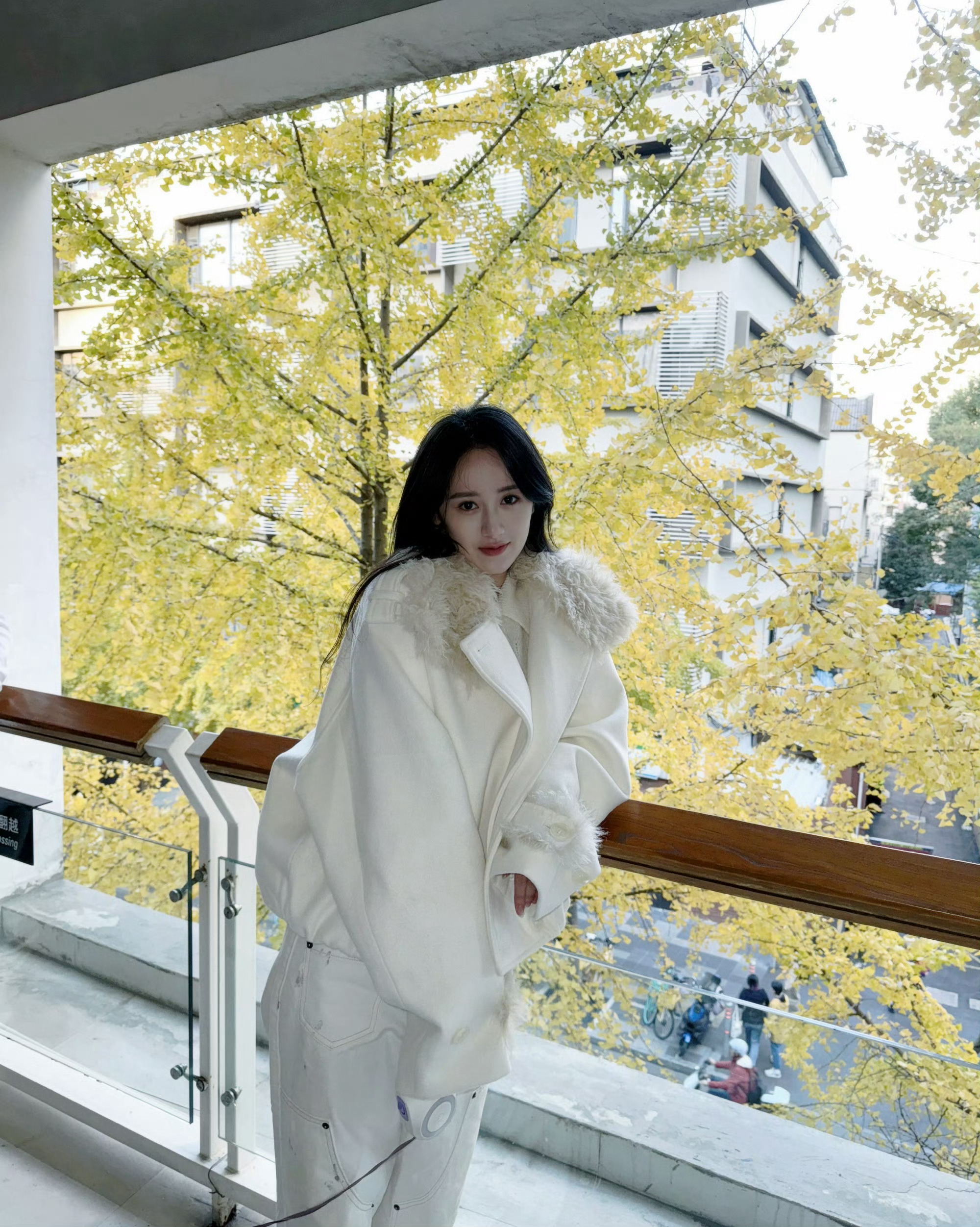 银杏叶子的出镜率有点高，我也想当一片叶子出现在袁冰妍 的朋友圈！