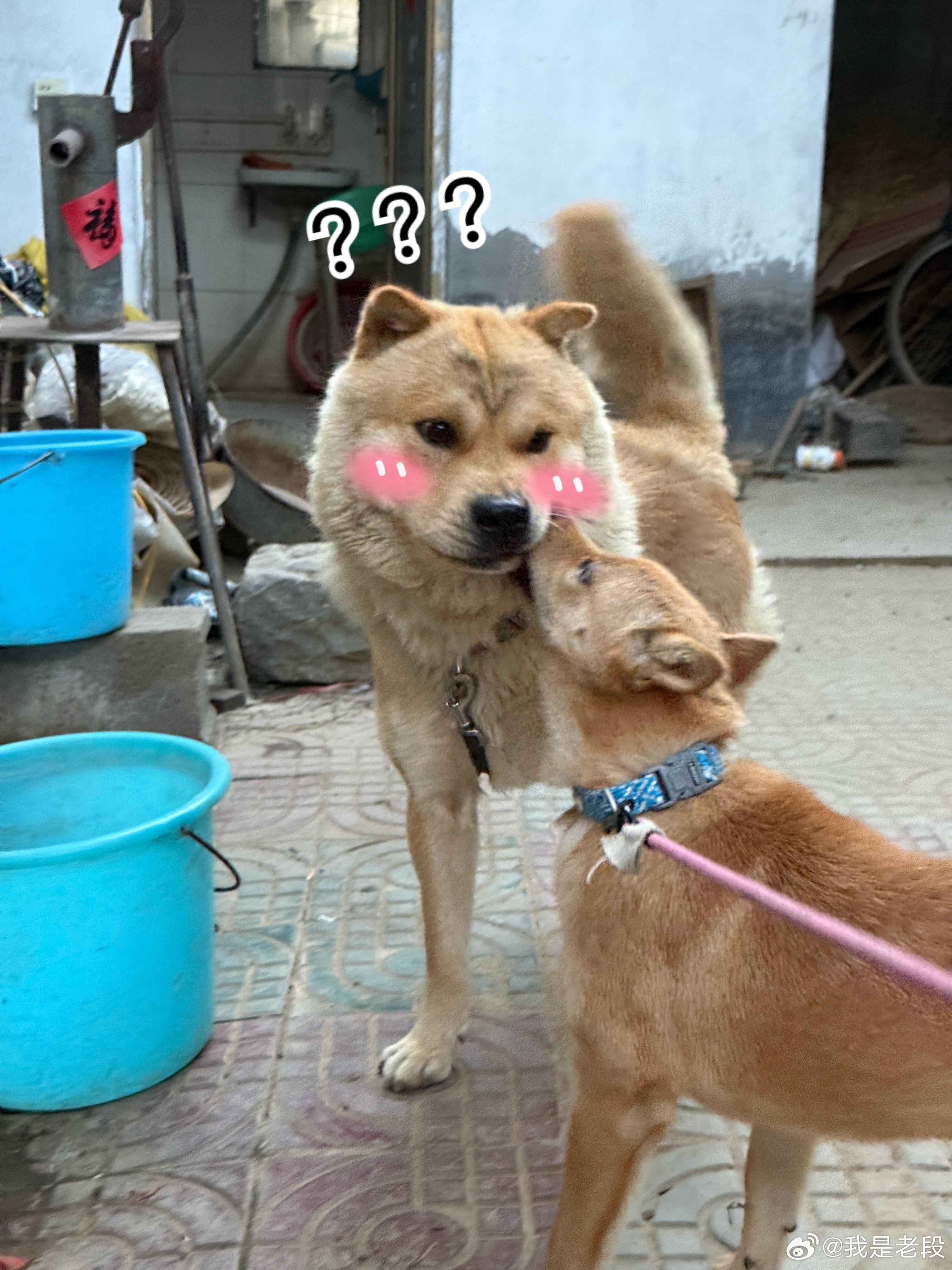 怎么就亲上了？ 