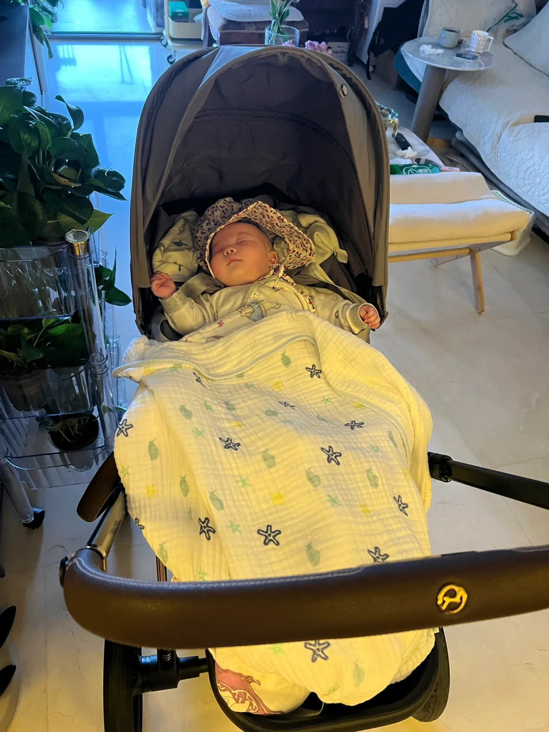 有没有同款出去遛弯十分钟就睡着的？