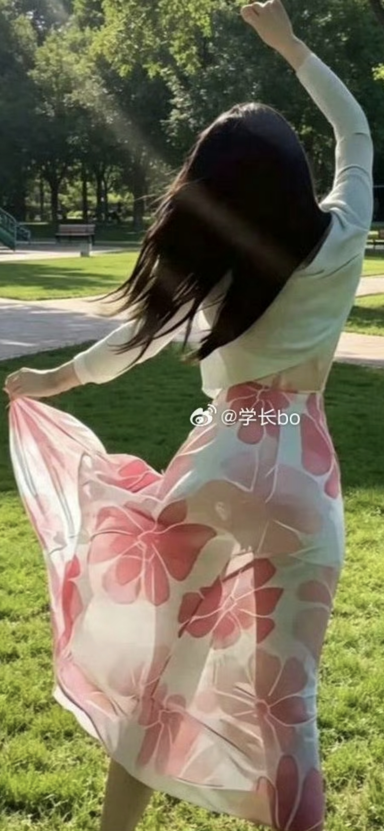 相信光[阴险] ​​​