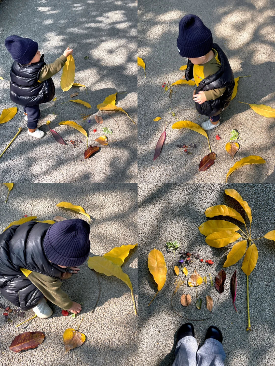 宝宝也来预习捡个秋🍂