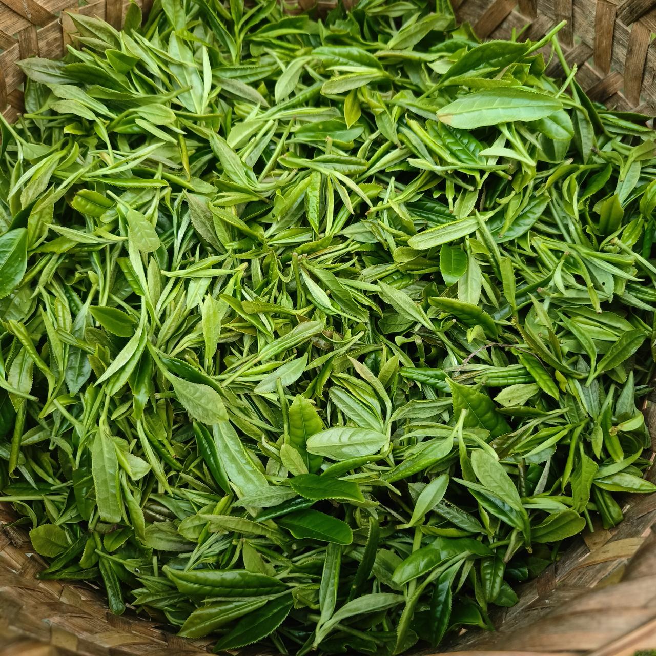 一句话证明你老了！字数越少越好以前走路带跑，现在慢走都累